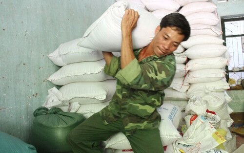 dich-vu-cuu-van-long-bien